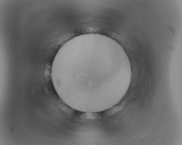 X0000112960672200909101634