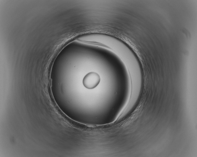 X0000112960673200909101633