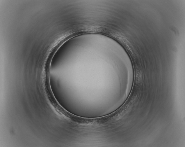 X0000112960674200909101633