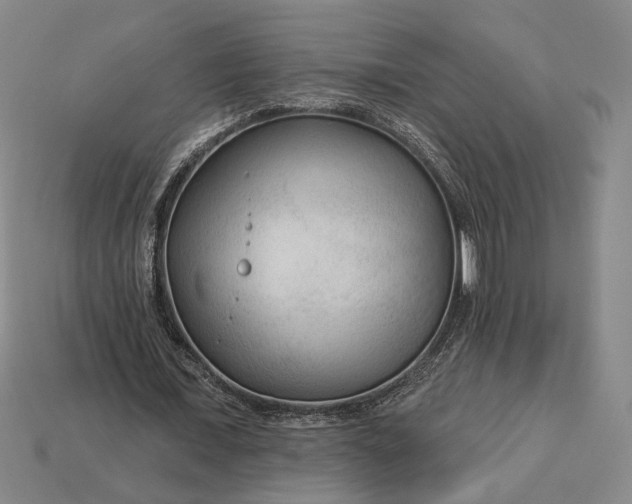 X0000112960675200909101633