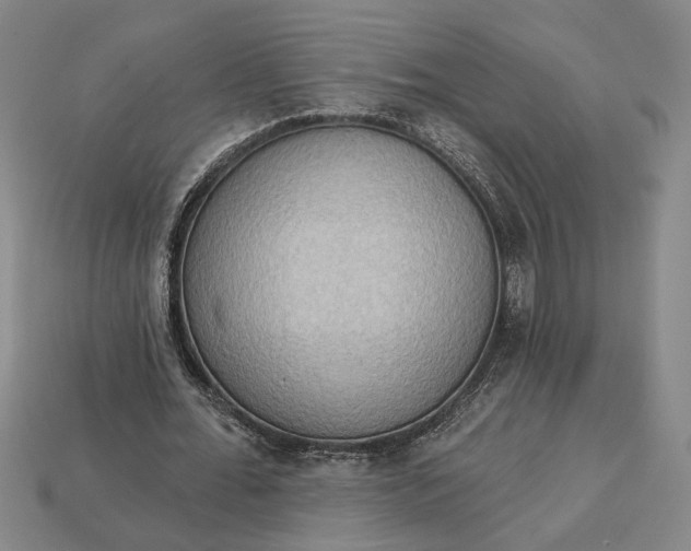 X0000112960676200909101633