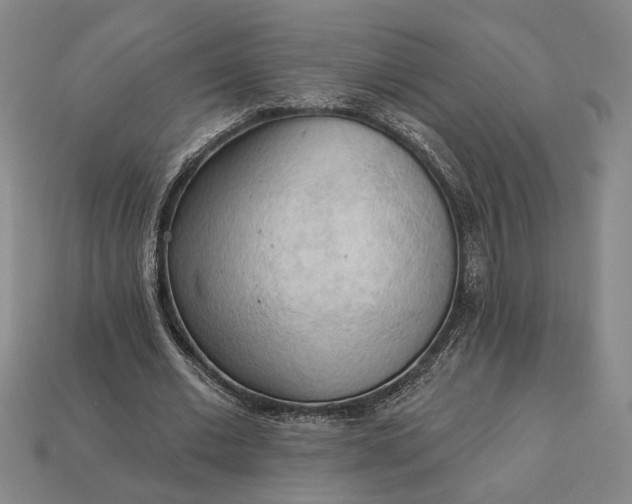 X0000112960677200909101633