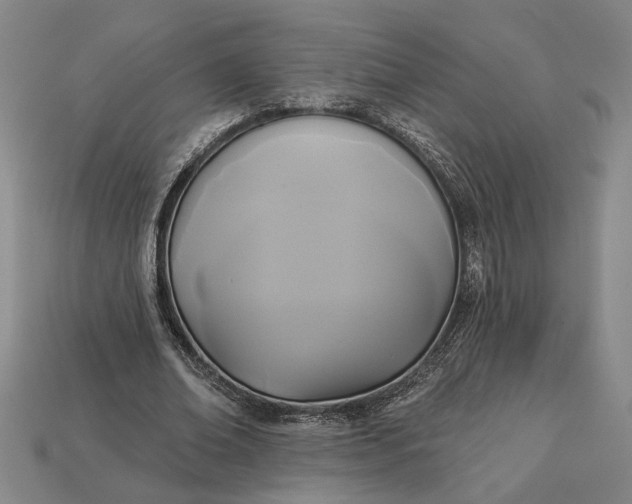 X0000112960678200909101633