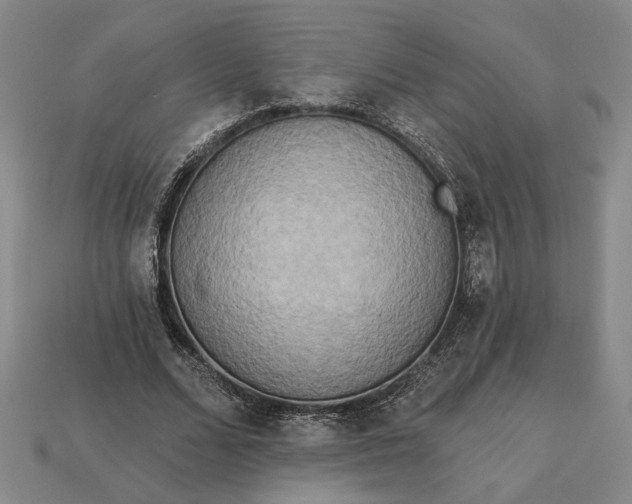 X0000112960680200909101633