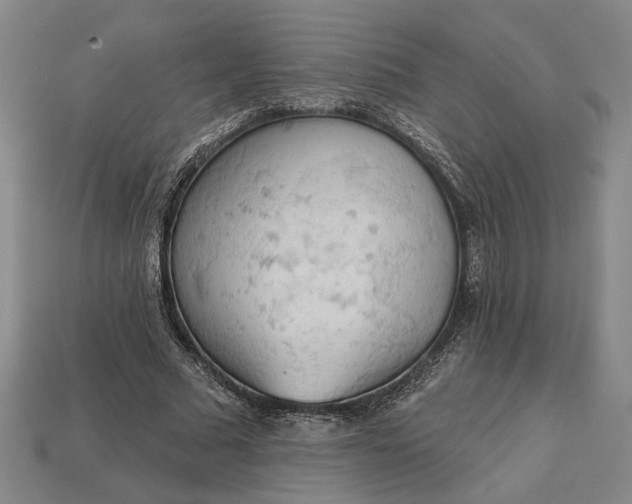 X0000112960681200909101633