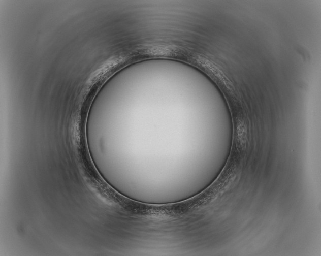 X0000112960682200909101633