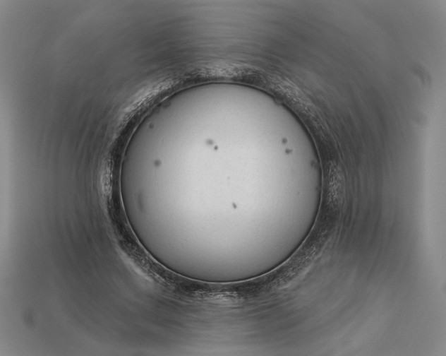 X0000112960683200909101633