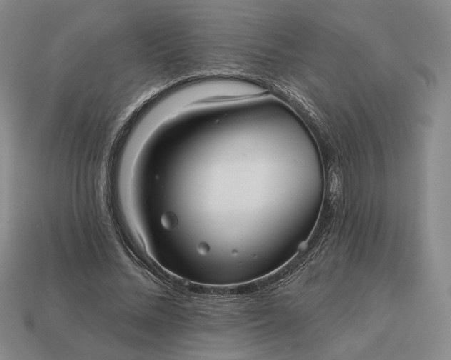 X0000112960684200909101633