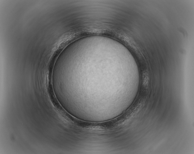 X0000112960685200909101633