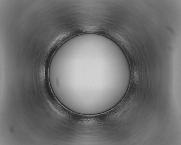 X0000112960686200909101633