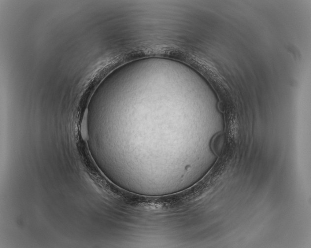 X0000112960687200909101633