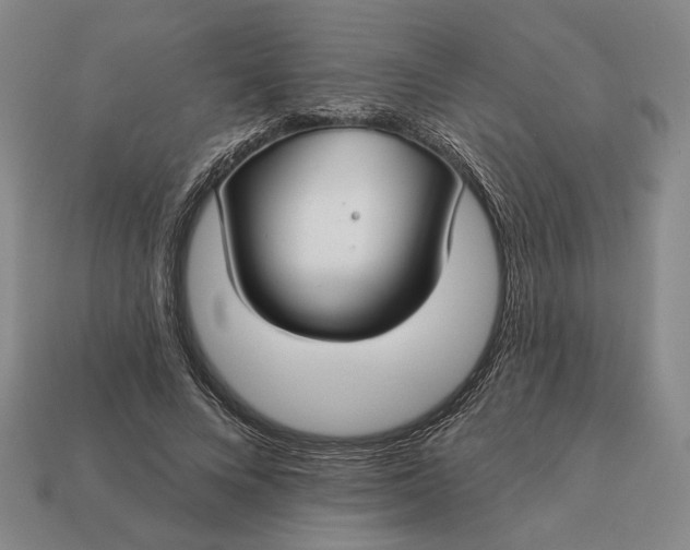 X0000112960688200909101633