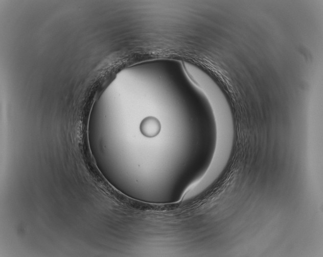 X0000112960689200909101633