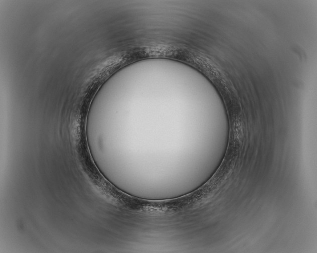 X0000112960690200909101633