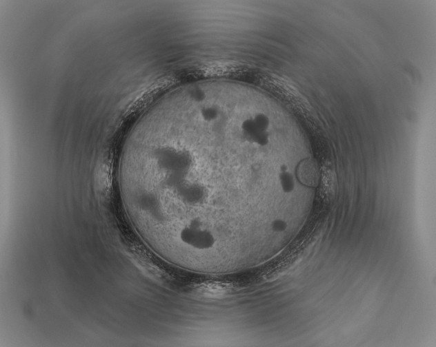 X0000112960691200909101633