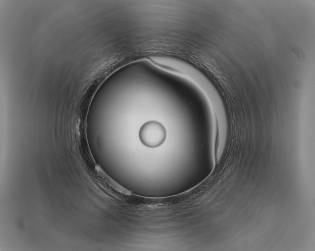 X0000112960692200909101633