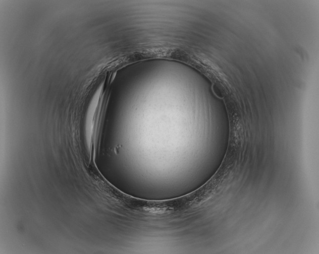 X0000112960693200909101633