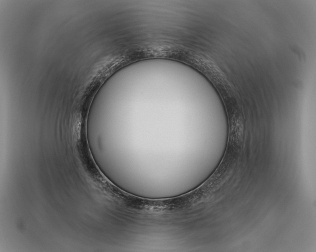 X0000112960694200909101633