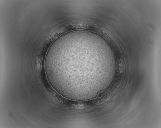 X0000112960695200909101633