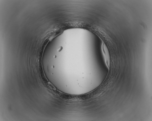 X0000112960696200909101633