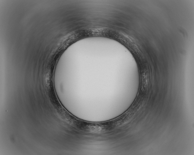 X0000112960698200909101633