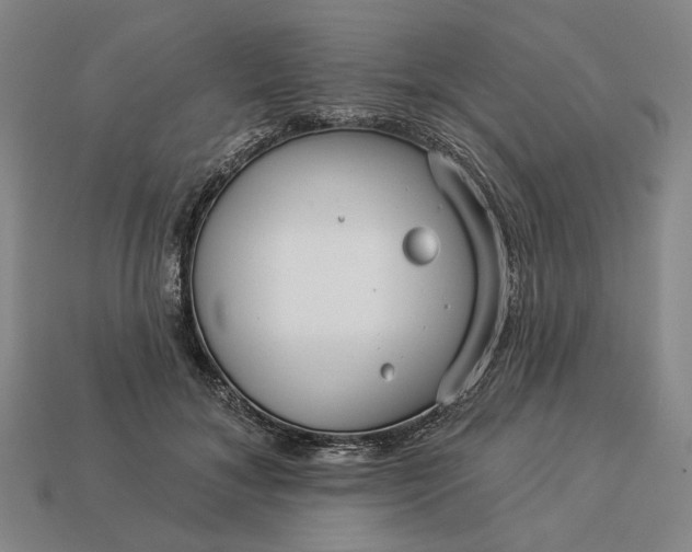 X0000112960700200909101633