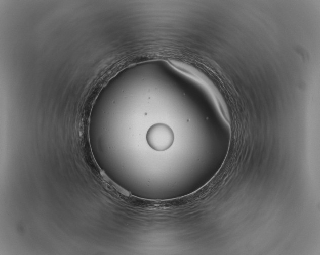 X0000112960701200909101633