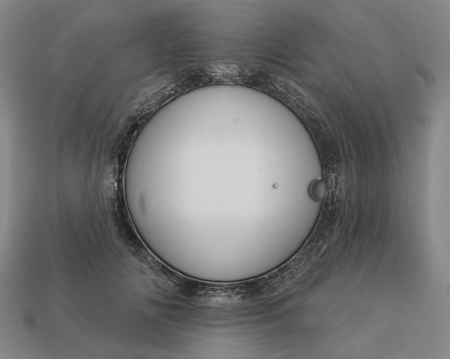 X0000112960702200909101633