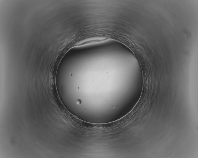 X0000112960704200909101633