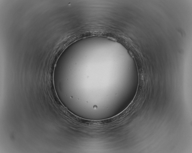 X0000112960705200909101633