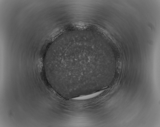 X0000112960707200909101633