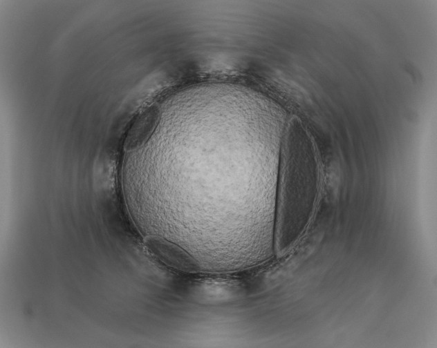 X0000112960708200909101633