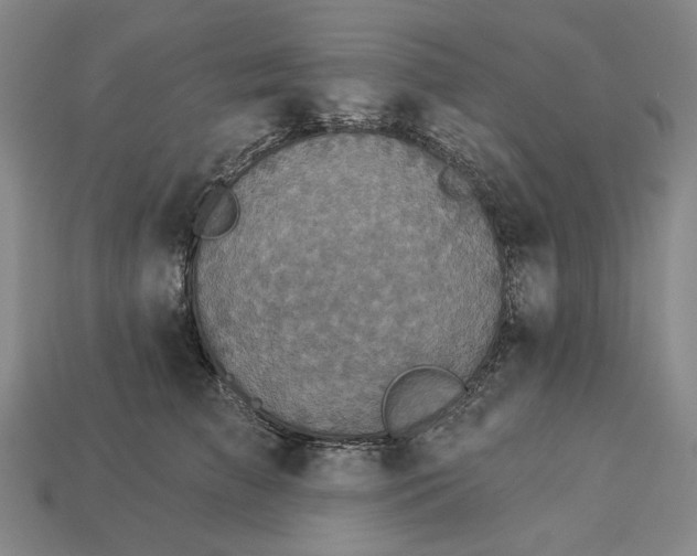 X0000112960709200909101632