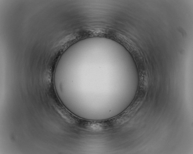 X0000112960710200909101632