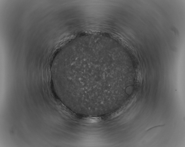 X0000112960711200909101632