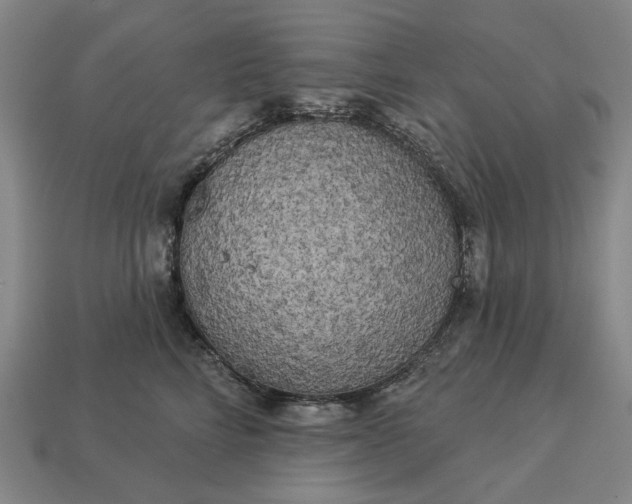 X0000112960712200909101632