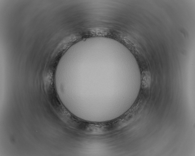 X0000112960713200909101632