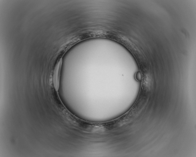 X0000112960715200909101632