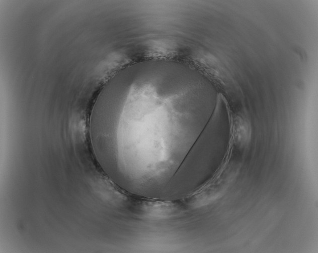 X0000112960716200909101632