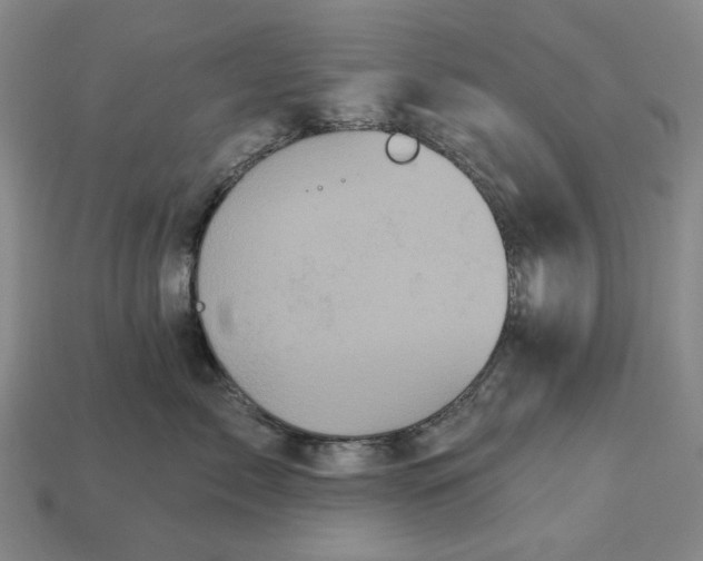 X0000112960717200909101632