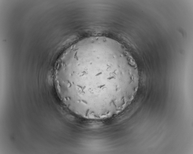 X0000112960719200909101632