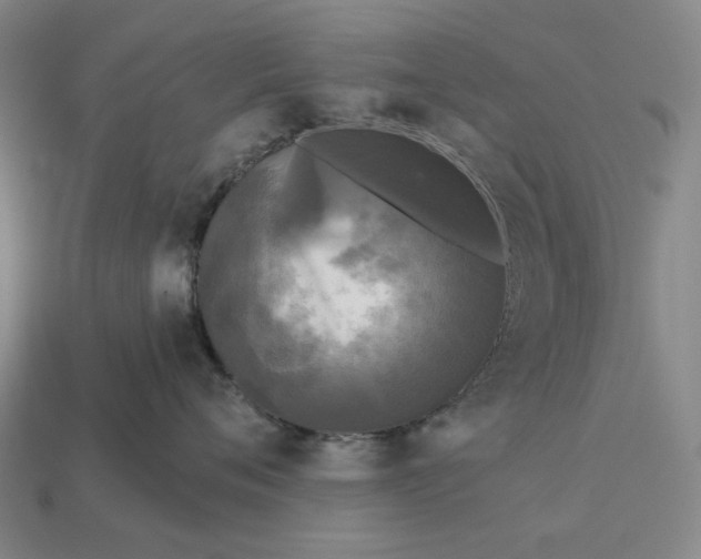 X0000112960720200909101632