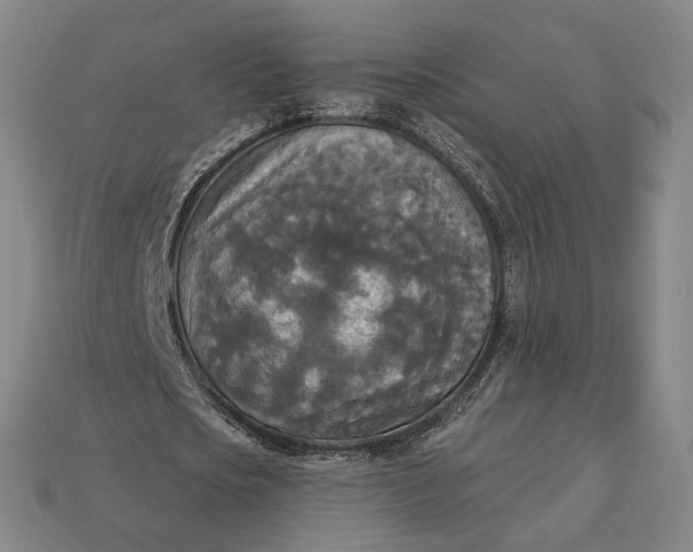 X0000112960721200909101632