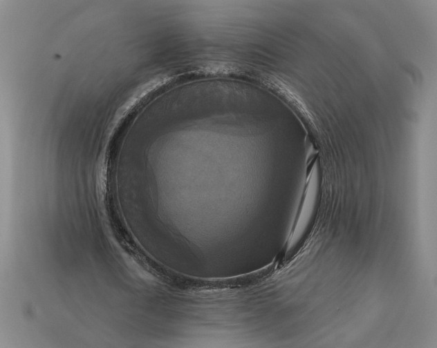 X0000112960722200909101632