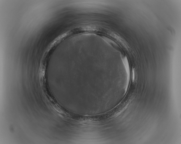 X0000112960723200909101632