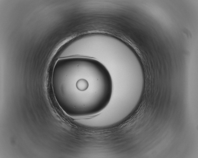 X0000112960724200909101632