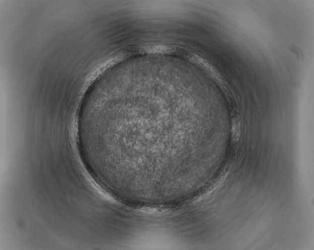 X0000112960725200909101632