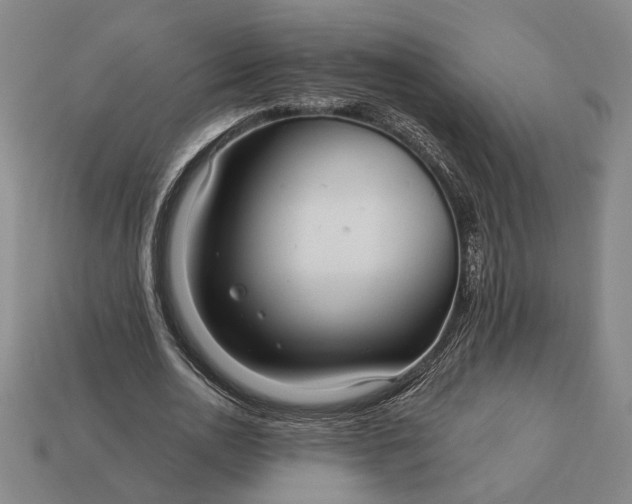 X0000112960726200909101632