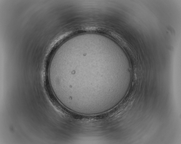 X0000112960728200909101632