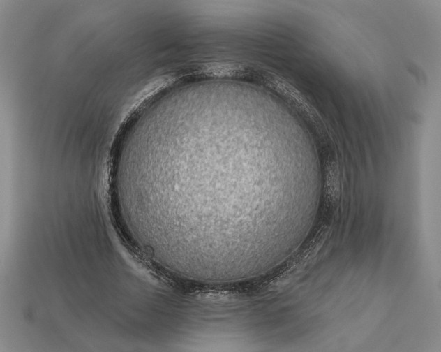 X0000112960730200909101632